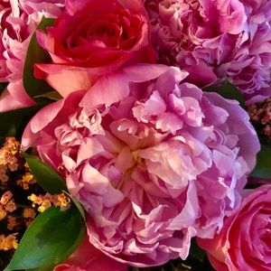 Meet your Posher, Christina